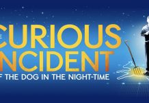 The Curious Incident Of The Dog In The Night