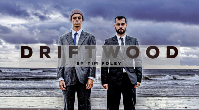 Driftwood by Tim Foley